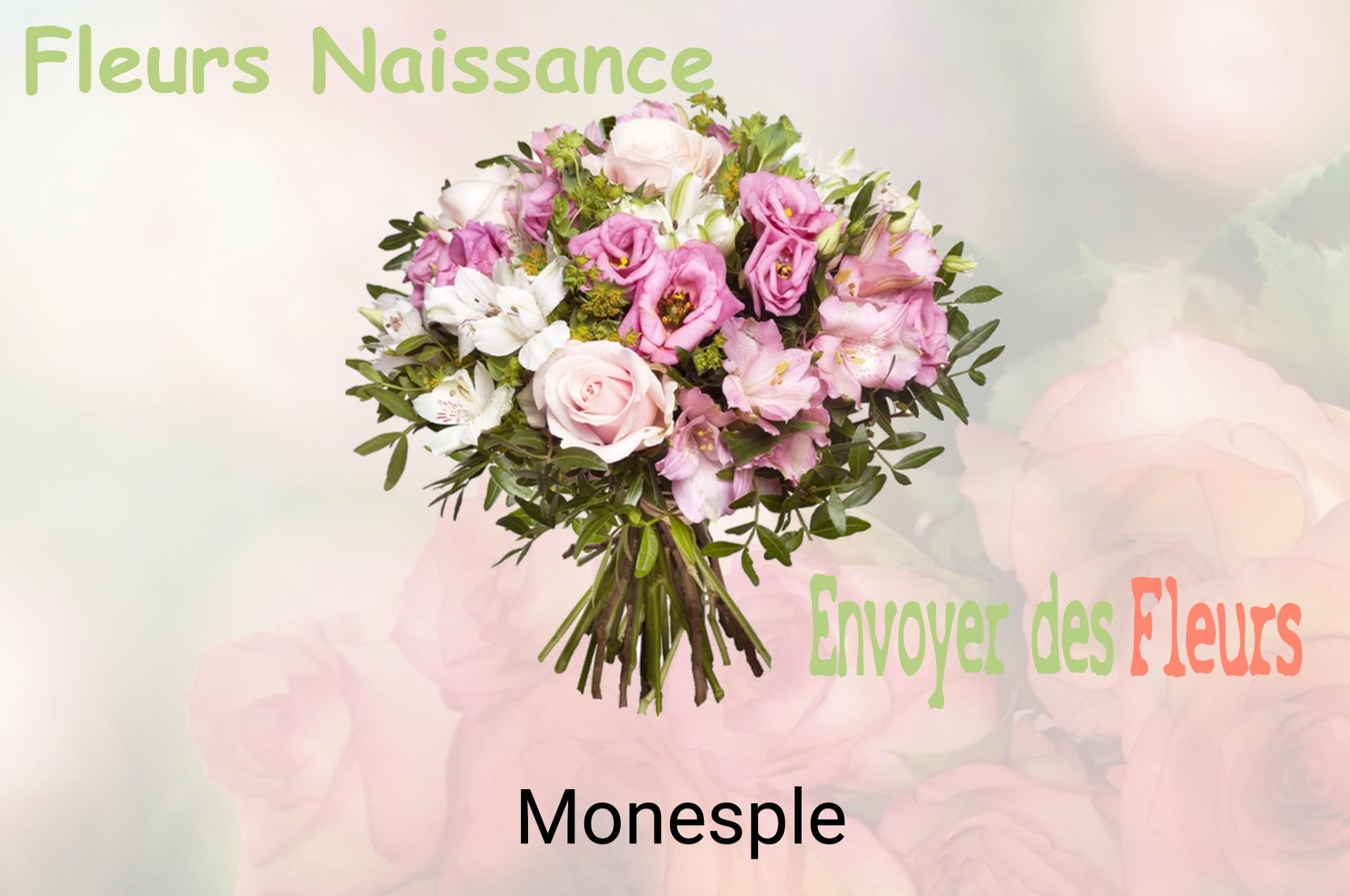 Bouquet de fleurs de naissance livré à Monesple