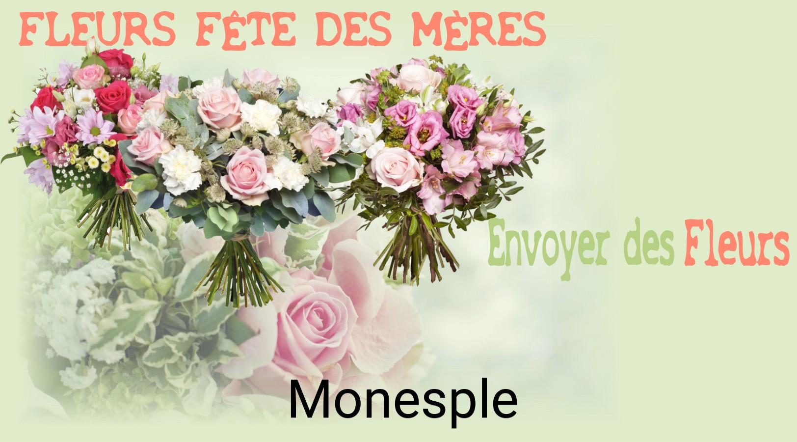 Bouquet de Fête des Mères livré à Monesple